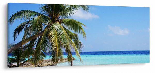 Pálmafák a strandon képe (120x50 cm)