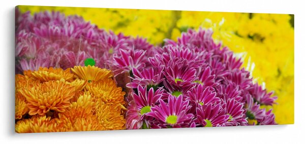 Rózsaszín virág képe (120x50 cm)