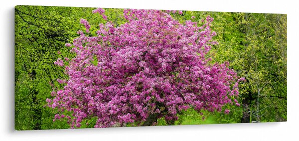 A réten virágzó fa képe (120x50 cm)