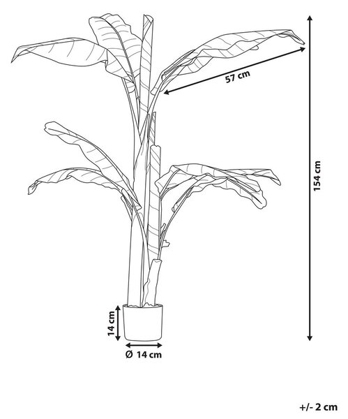 Műnövény MUSA TREE 154 cm Zöld