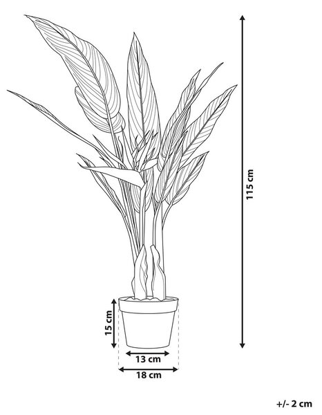 Műnövény STRELITZIA TREE 115 cm Zöld