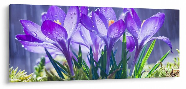 Virágok az esőben képe (120x50 cm)