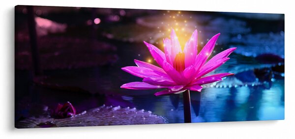 Tavirózsa a vízen képe (120x50 cm)