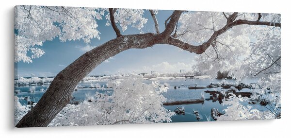 A víz mellett egy havas fa képe (120x50 cm)