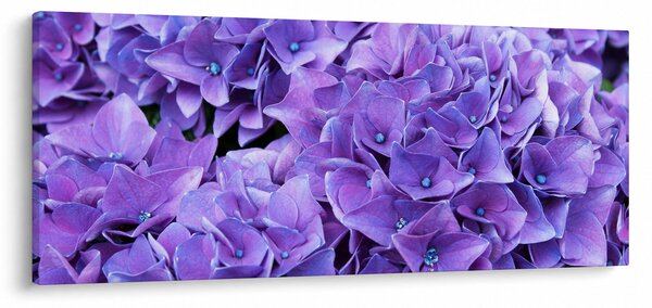 Lila virágok képe (120x50 cm)