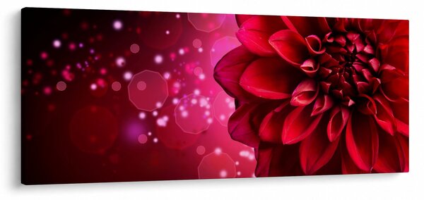 Piros virágok képe (120x50 cm)