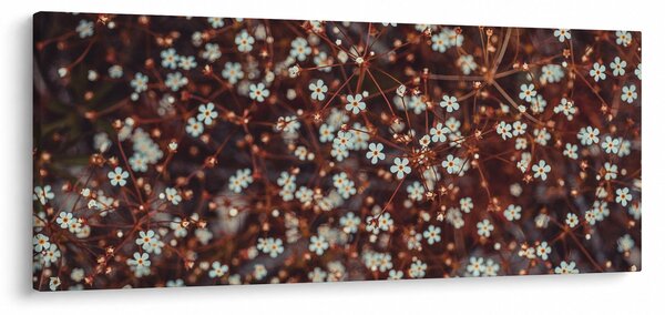 Erdei nefelejcs virág képe (120x50 cm)