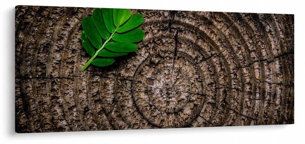 Kép egy levél a fatörzsön (120x50 cm)