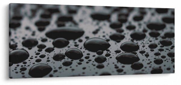 A vízcseppek képe (120x50 cm)