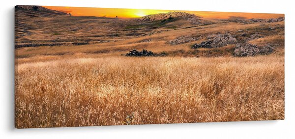 Mező képe (120x50 cm)