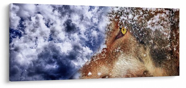 A farkas képe (120x50 cm)
