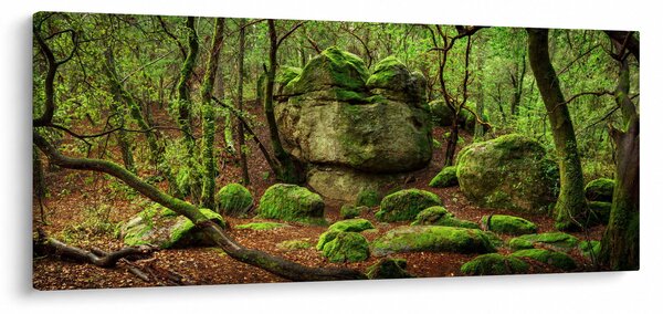 Egy varázslatos erdő képe (120x50 cm)