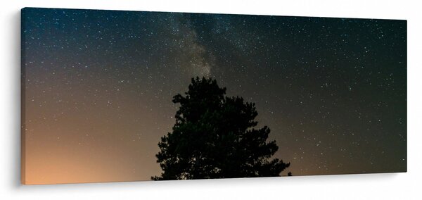 Egy éjszakai égbolt fákkal képe (120x50 cm)
