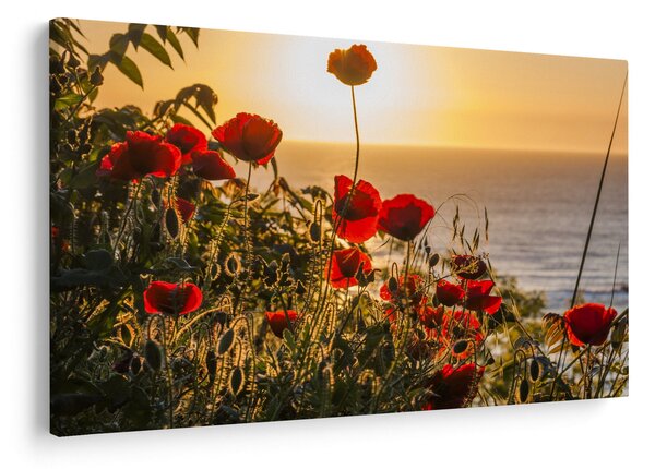 Naplemente és a pipacsok képe (90x60 cm)