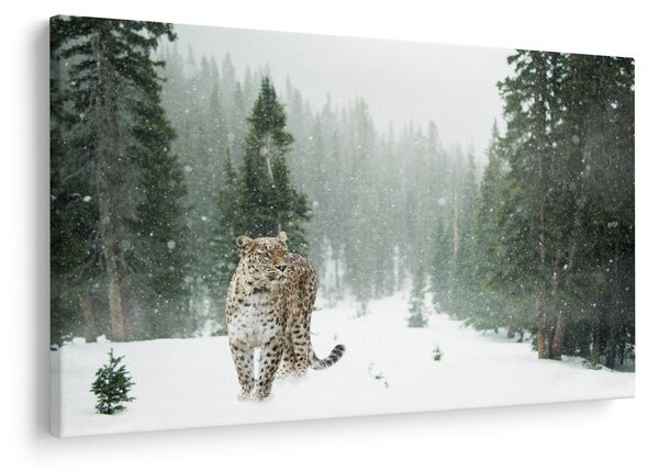 Leopárd a hóban képe (90x60 cm)