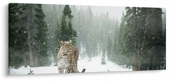 Leopárd a hóban képe (120x50 cm)