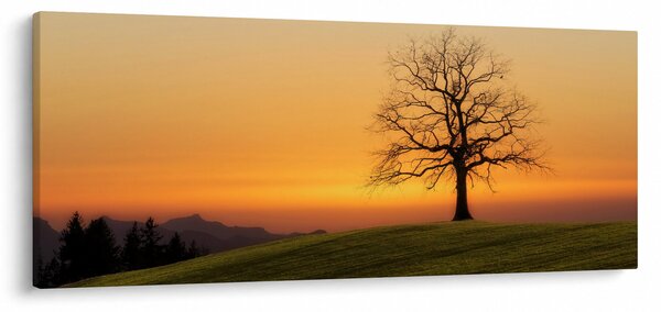 Naplemente a réten képe (120x50 cm)