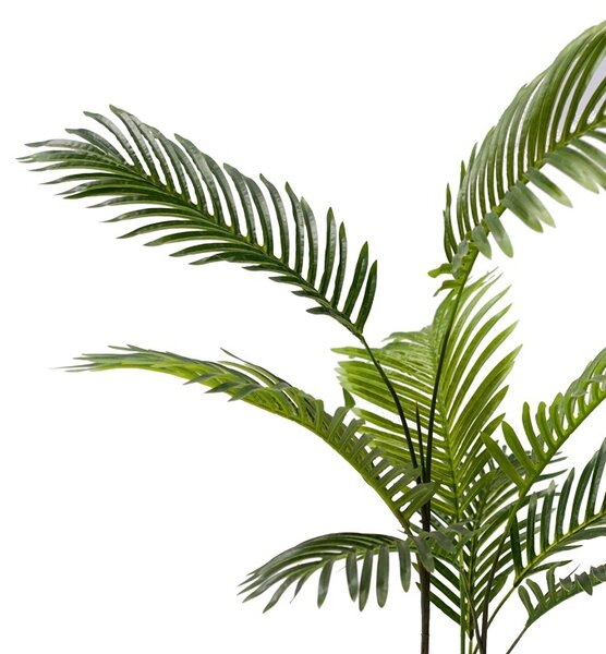 Kerti dísznövény, Areca, Pako World, fekete, 80x80x80 cm