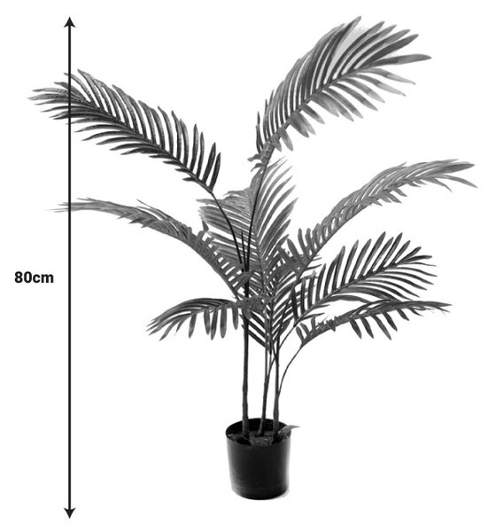 Kerti dísznövény, Areca, Pako World, fekete, 80x80x80 cm