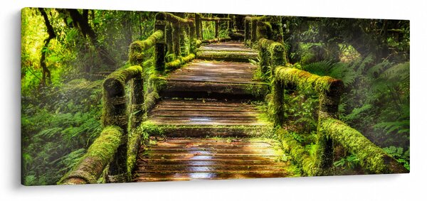 Lépcső az esőerdőben képe (120x50 cm)