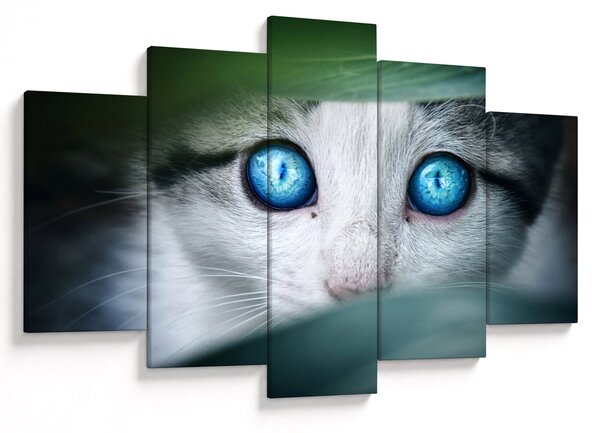 Macska képe (150x105 cm)