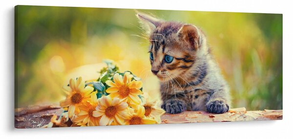 Macska képe ahogy a virágot nézi (120x50 cm)