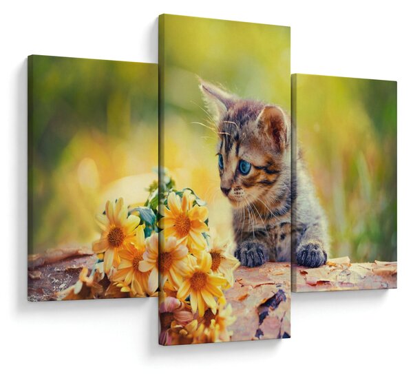 Macska képe ahogy a virágot nézi (90x60 cm)