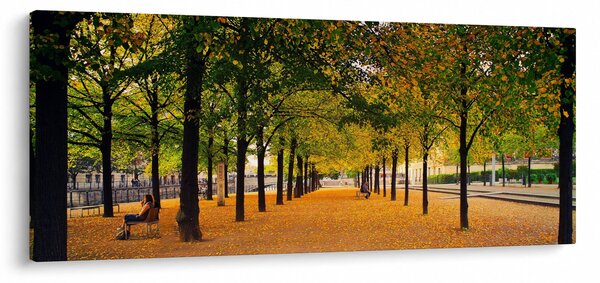 Egy kép az őszi fák sikátorából (120x50 cm)