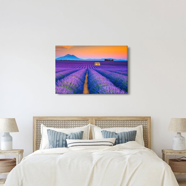 Kép - Levendula mező (90x60 cm)