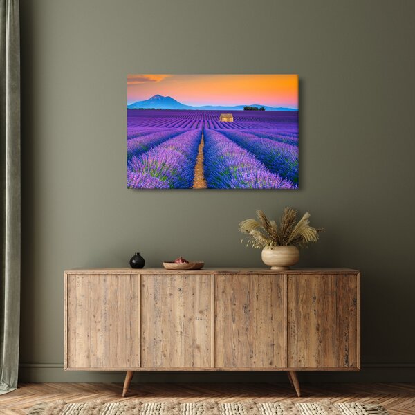 Kép - Levendula mező (90x60 cm)