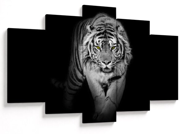 Kép - Sárga szemű tigris (150x105 cm)