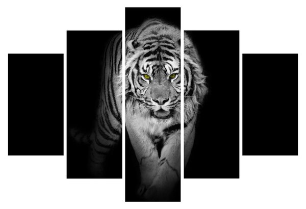 Kép - Sárga szemű tigris (150x105 cm)
