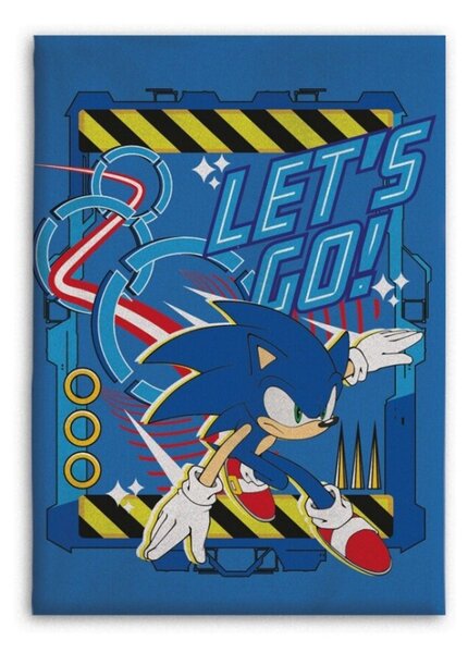 Sonic a sündisznó Let&#039;s Go coral fleece takaró 110x150cm