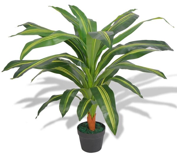 Műsárkányfa virágcseréppel 90 cm zöld