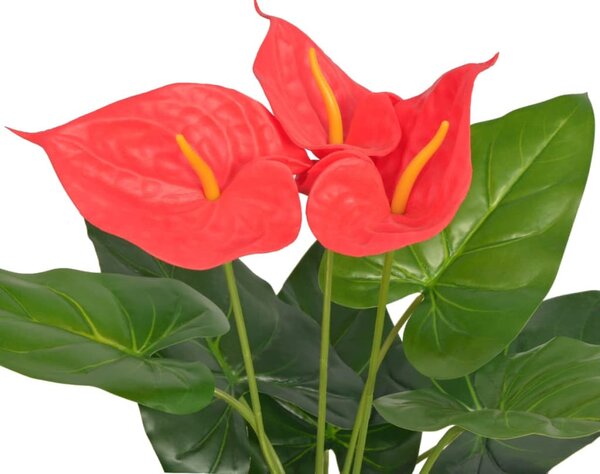 Műflamingóvirág virágcseréppel 45 cm piros és sárga