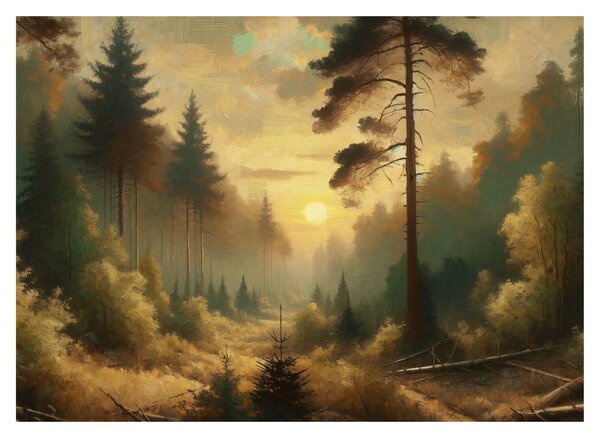 Kép - Napfény az erdőben (70x50 cm)