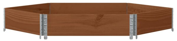 VidaXL barna tömör fenyőfa hatszögű magaságyás 160 x 160 cm