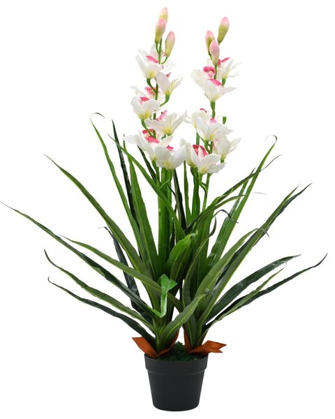 Zöld, cserepes műcsónakorchidea 100 cm
