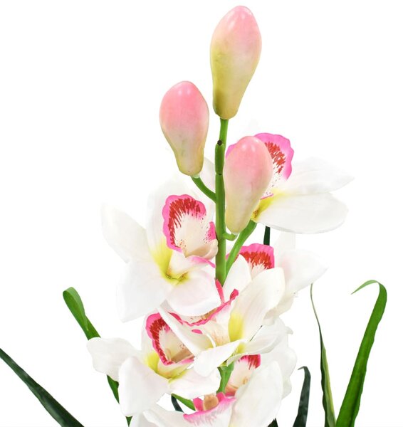 Zöld, cserepes műcsónakorchidea 100 cm