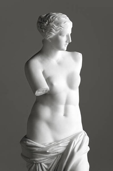 Művészeti fotózás Venus de Milo on grey, 221A, (26.7 x 40 cm)