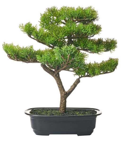 Műnövény PINE 37 cm Zöld