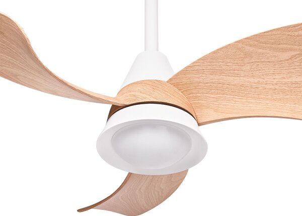 Mennyezeti ventilátor világítással HAINES Távirányítóval LED Fehér