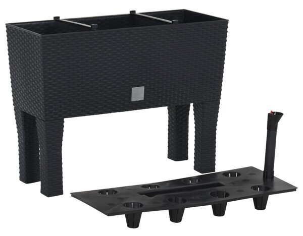 Antracitszürke polipropilén rattan kerti magaságyás 60x25x46 cm