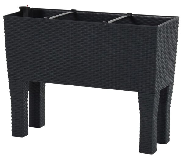 Antracitszürke polipropilén rattan kerti magaságyás 60x25x46 cm
