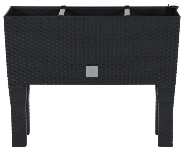 Antracitszürke polipropilén rattan kerti magaságyás 60x25x46 cm