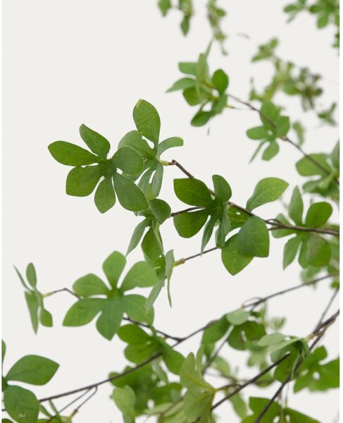 Műnövény (magasság 214 cm) Enkianthus – Kave Home