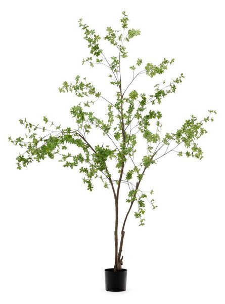 Műnövény (magasság 214 cm) Enkianthus – Kave Home