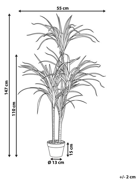 Műnövény DRACAENA ANITA 147 cm Zöld