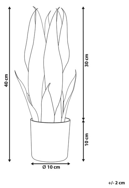 Műnövény SNAKE PLANT 40 cm Zöld