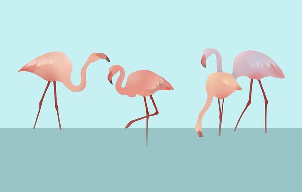 Fotótapéta Vízben álló flamingók csoportja, Erdő fotótapéta, Népszerű fotótapéta, t00607 - Tapeko.hu